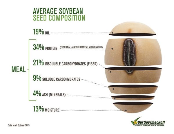 Soybean_Composition_Infographic_(22566265820)