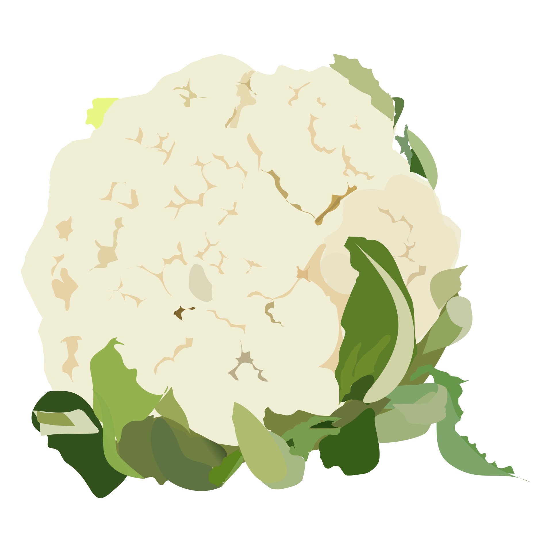 cauliflower-1433019501uml