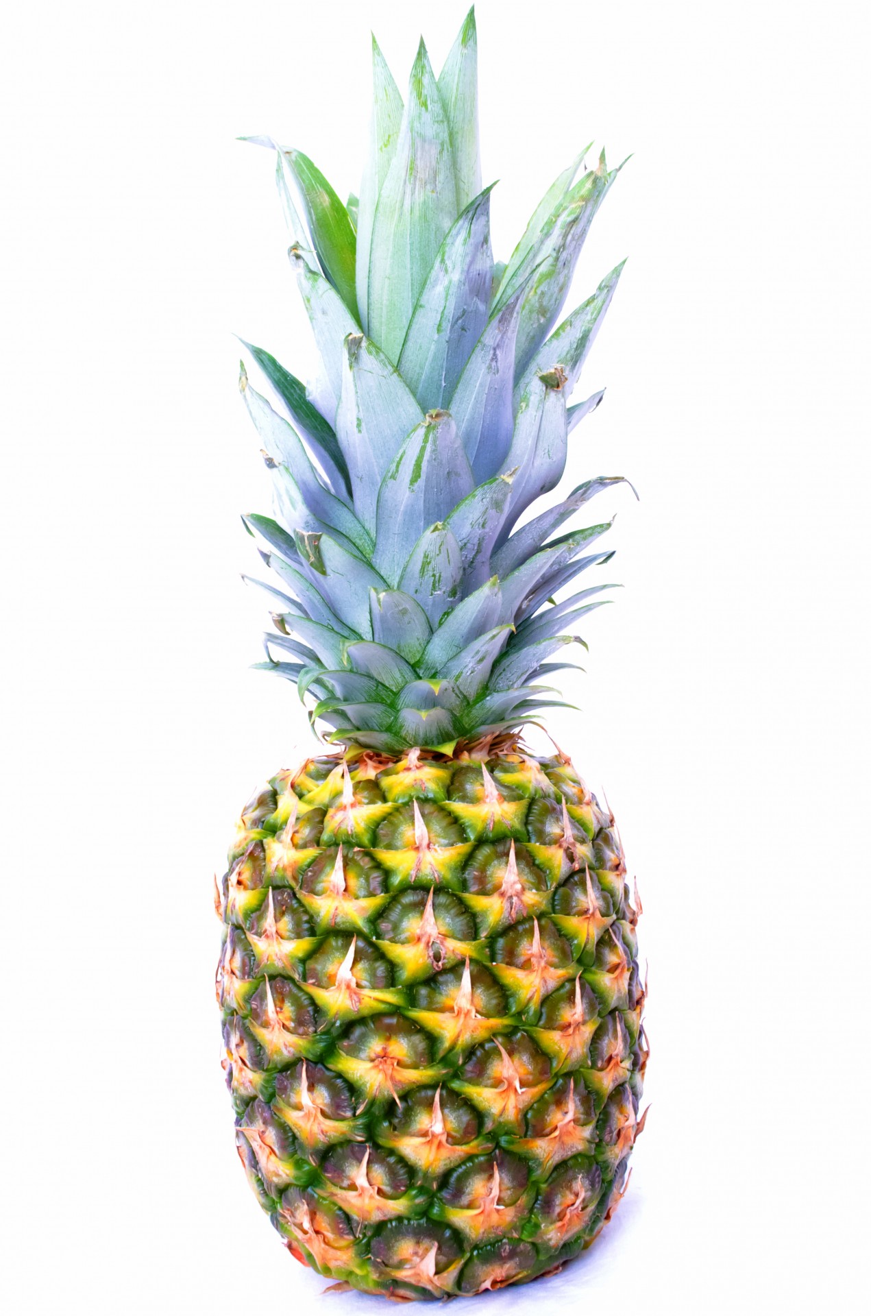 pineapple-13718940674QS